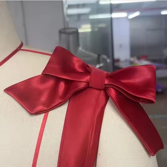 Elegant Red Lace Dress - Picture 2 of 3